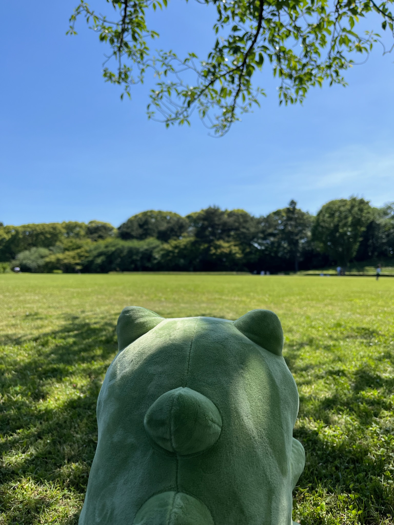 substitute doll overlooking a grassy field